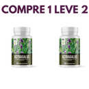 Astragalus – Fortaleça sua Imunidade e  seu Corpo