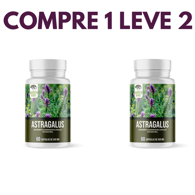 Astragalus – Fortaleça sua Imunidade e  seu Corpo