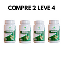 Moringa Oleifera – Qualidade e Bem-Estar em Cada Dose