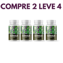 Astragalus – Fortaleça sua Imunidade e  seu Corpo