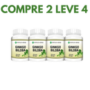 Ginkgo Biloba: A Fórmula Natural para Memória e Bem-Estar