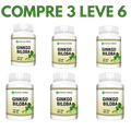 Ginkgo Biloba: A Fórmula Natural para Memória e Bem-Estar