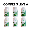 Moringa Oleifera – Qualidade e Bem-Estar em Cada Dose