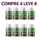 Astragalus – Fortaleça sua Imunidade e  seu Corpo