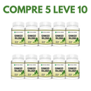 Ginkgo Biloba: A Fórmula Natural para Memória e Bem-Estar