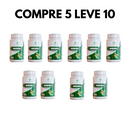 Moringa Oleifera – Qualidade e Bem-Estar em Cada Dose