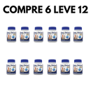 Pelo e Derme: Saúde e Vitalidade para a Pele e Pelagem do seu Animal