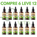 Gota Persea: Cuidando da Sua Glicose e do Seu Corpo de Forma Inteligente